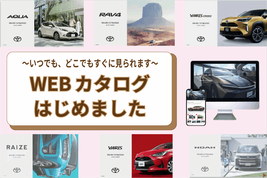 videomega見れないか？videomegaウイルスあるか？videomega